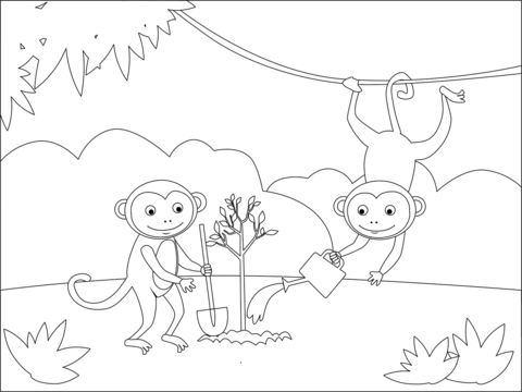 Monkeys Planting A Tree Coloring Page